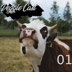 VeggieCast - 01 - O que é vegetarianismo?