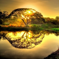 Sunrise Over The Swamps [Ableton Track]