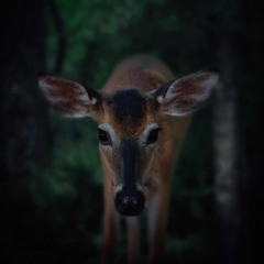 Lee Jones - One Grain (Clip)