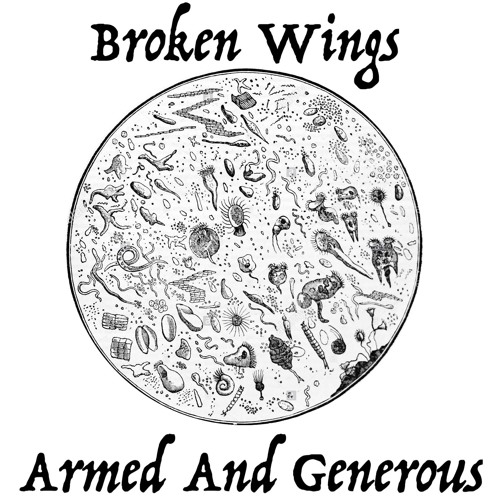 Stream Katja Johanna Kurkinen Listen to broken wings band playlist