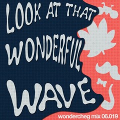 06.019 Look At That Wonderful Wave