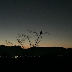 Mortal Kombat (Inspired By Pivot Gang)