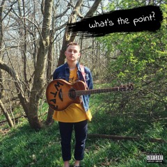 Roasting Marshmallows Over Burning Guitars