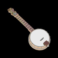 Playing the banjo