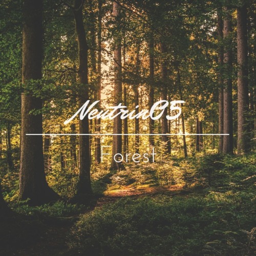 Neutrin05 - Forest