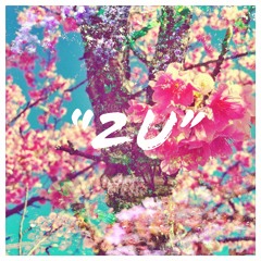 2U