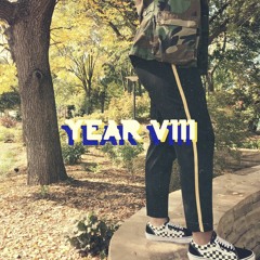 Year VIII