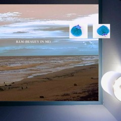 B.I.M. (Beauty In Me) w/ Astrud Napoleon