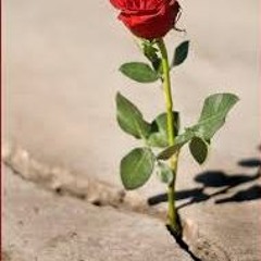 Dee The One- Stay Down Ft. Amor