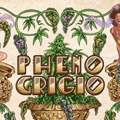 Berner x Curren$y - Pheno Grigio ft Mozzy