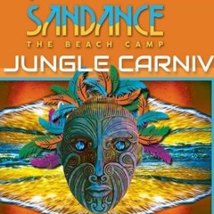- Bionic Vibes-Forestronika-Sandance-The Jungle Carnival Beach Camp- June 8 & 9 2019