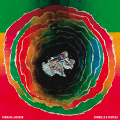 PREMIERE – Thomass Jackson -Cowbells & Temples (Man Power Remix) (Feines Tier)