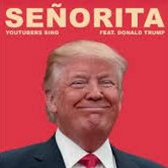Shawn Mendes, Camila Cabello - Senorita (Donald Trump Cover)