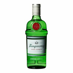 Tanqueray Freestyle ft. GolddickForTheGolddigs Mob