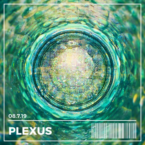 Plexus