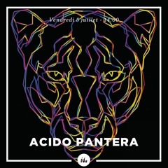Acido Pantera • DJ Set
