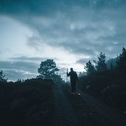 Hippie Sabotage - Find Me (DANIMO Flip)