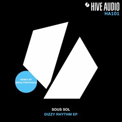 Hive Audio 101 - Sous Sol - Dizzy Rhythm (Mihai Popoviciu Remix)