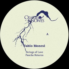 Premiere: Fabio Monesi - Strings Of Love [Craigie Knowes]