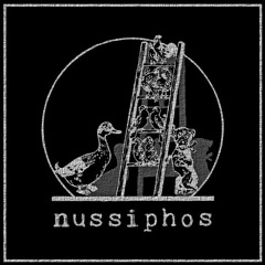 Nussi @ Hammahalle, Sisyphos (07.07.2019)