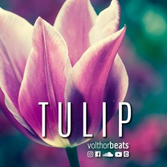 Tulip | Capital Bra Dancehall Type Beat (prod. by volthorbeats)