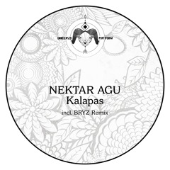 Nektar Agu - 9 09 (BRYZ Remix)