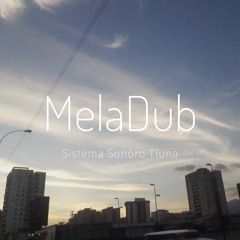 Mixtape Selection - Meladub