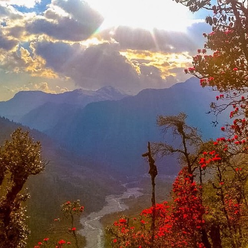 Yamuna (live in Rishikesh 06-04-2019)
