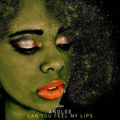 Andlee - Can You Feel My Lips SNIP