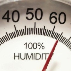 Humidity