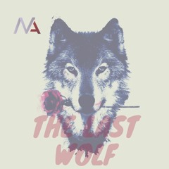 Maged Amr - The Last Wolf (Original Mix)