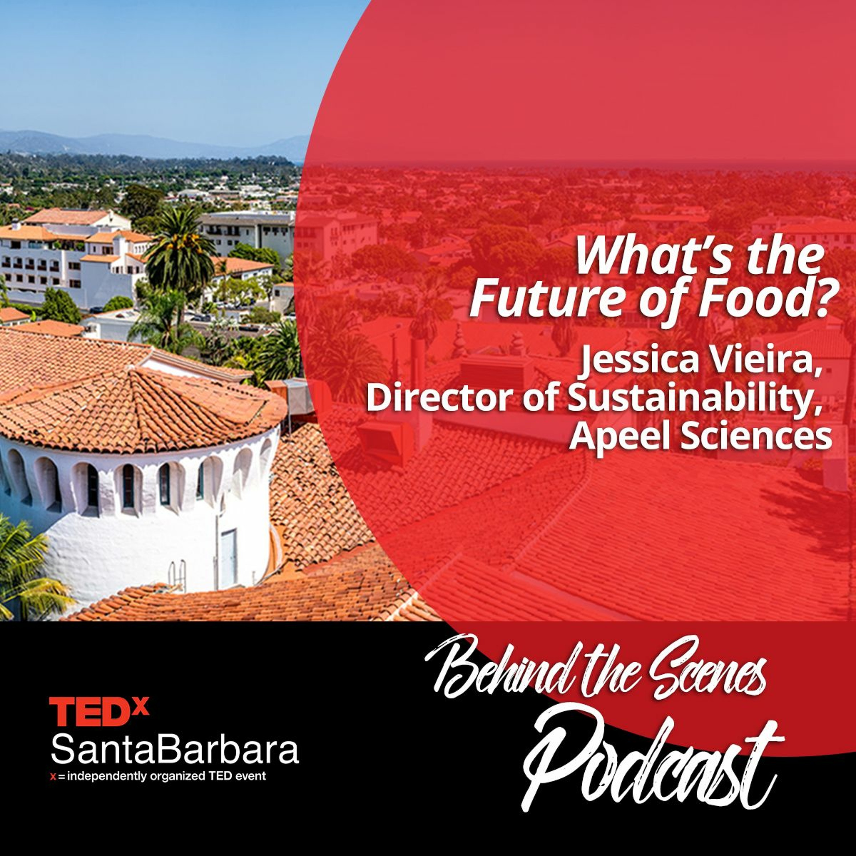 Behind the Scenes at TEDxSantaBarbara