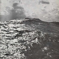 meg-x - papisa (demo)