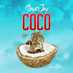 David Jay & TyRo - Coco