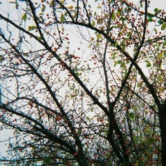 2006 (Prod. by Brokenjaw)