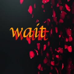 Wait(Prod. by @tahjmoneyy)