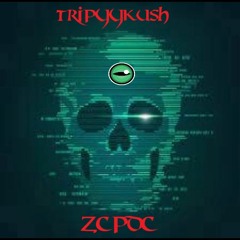 TripyyKush x ZCPDC - AINTGONSTOP (PROD. Breezeh)