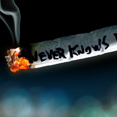 Best Beats >_< (._.)