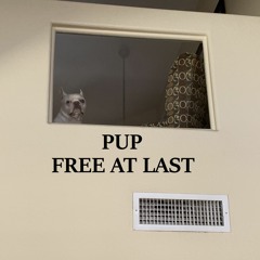 Free At Last (Unfinished Take)for Pup