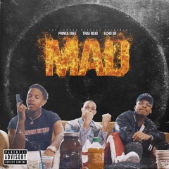 MAD (feat. Prince Taee & Echo XO)