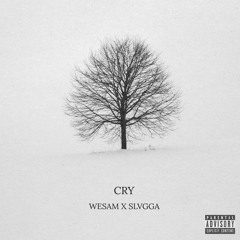 WESAM X SLVGGA - CRY (PROD. BY COBRA.)
