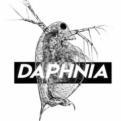 DAPHNIA - Pembenaran