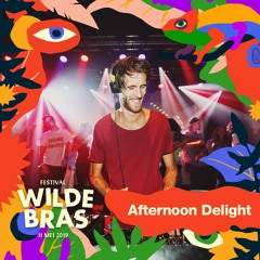 Wildebras Festival 2019 - Studio Disco - Afternoon Delight