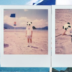 Summer Holiday