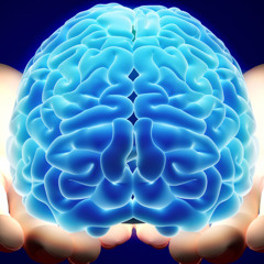 Real Intelligence