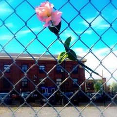 rooftop snippet (unreleased)