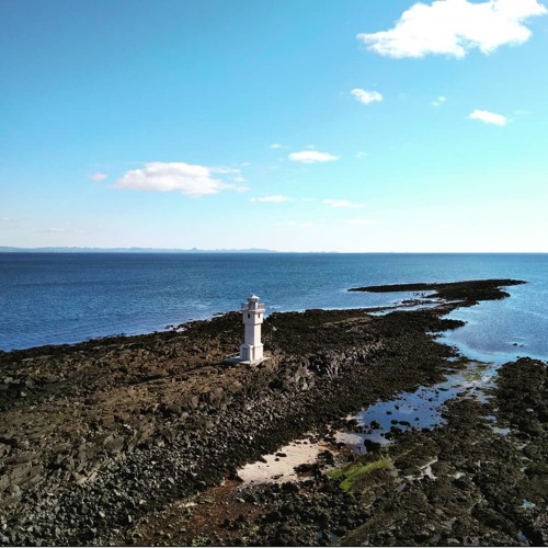 Eðvarð Egilsson - Birds