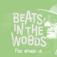 Fire between us @ Beats In The Woods Weekender 2019