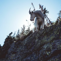 Story #19: Live In the Mountains