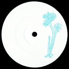 PREMIERE: DJ Different - You Eternal [Cactus Traxx]